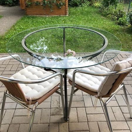 Appartement Like Complete Suite With Terrasse, Very Close To Centre, Beautiful, Superquiet, Parking !! 埃尔福特 外观 照片