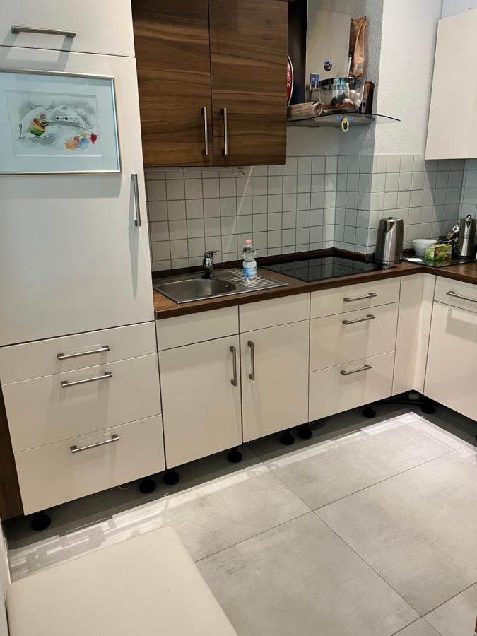 Appartement Like Complete Suite With Terrasse, Very Close To Centre, Beautiful, Superquiet, Parking !! 埃尔福特 外观 照片